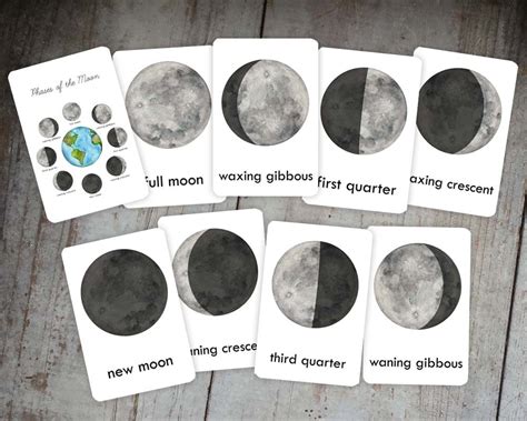 Phases Of The Moon Printable Cards